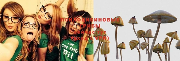 шишки Иннополис
