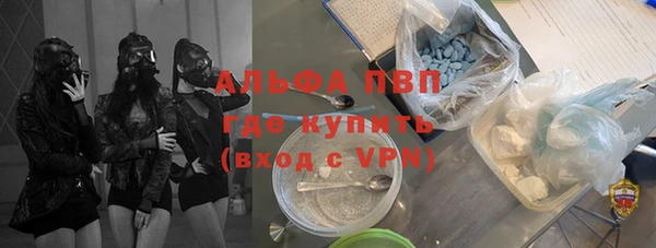шишки Иннополис