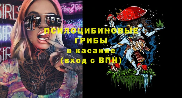 шишки Иннополис