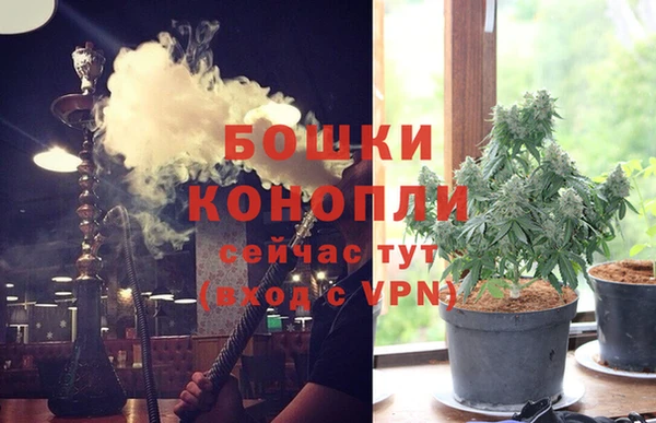 шишки Иннополис